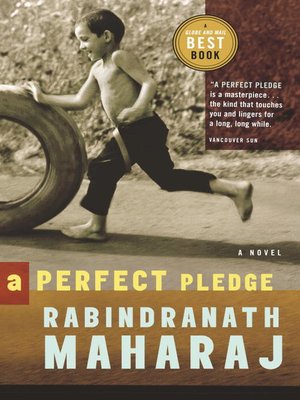 cover image of A Perfect Pledge